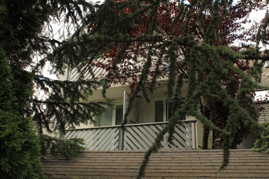 Vila Apartment Bled Lake ภายนอก รูปภาพ